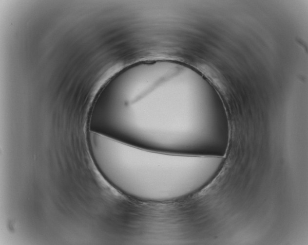 X0000098211189200804241054