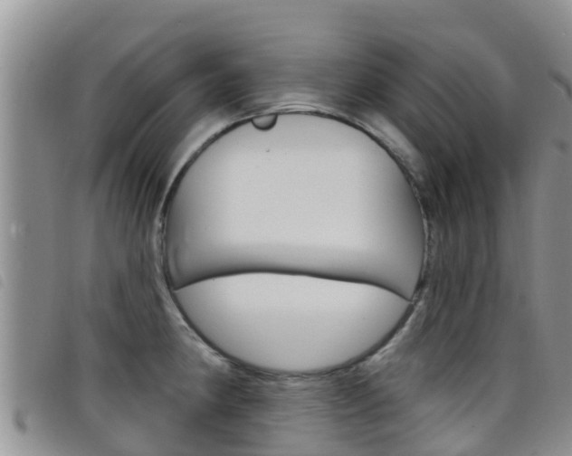 X0000098211190200804241054