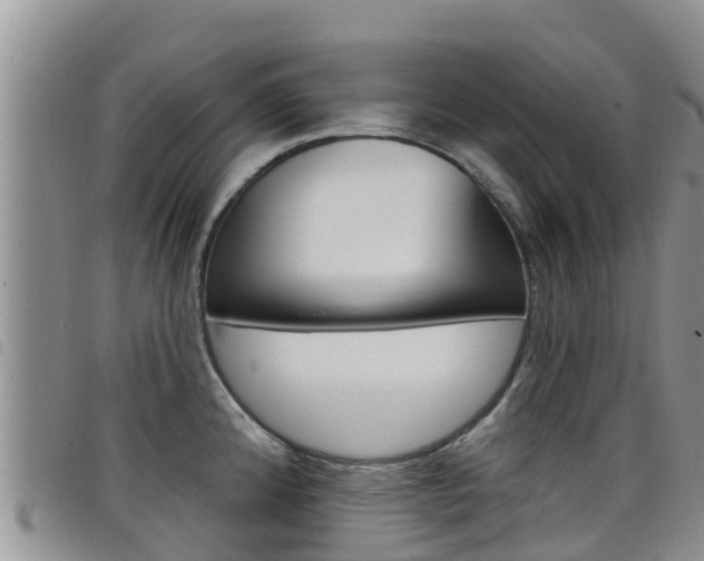 X0000098211192200804241054