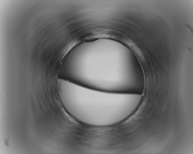X0000098211193200804241054