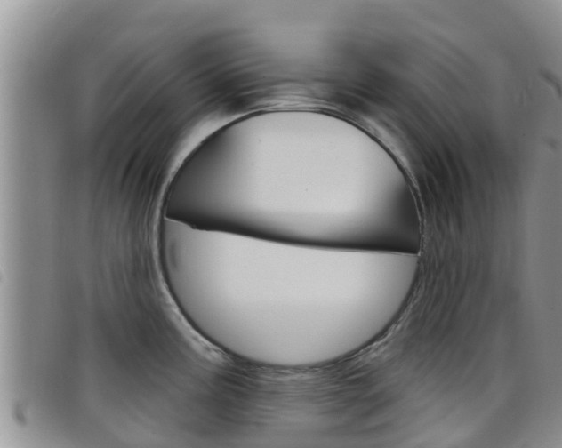 X0000098211195200804241054