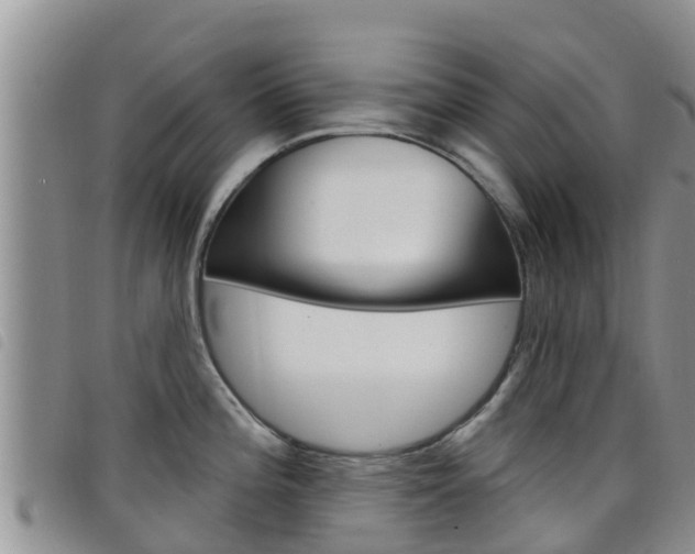 X0000098211196200804241054