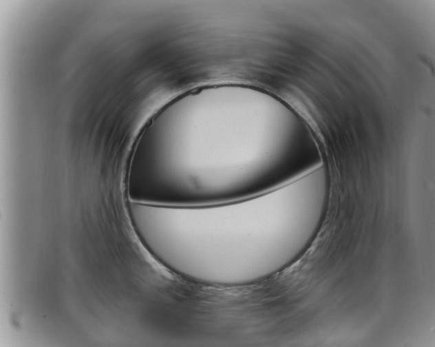 X0000098211197200804241054