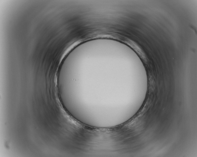 X0000098211198200804241054