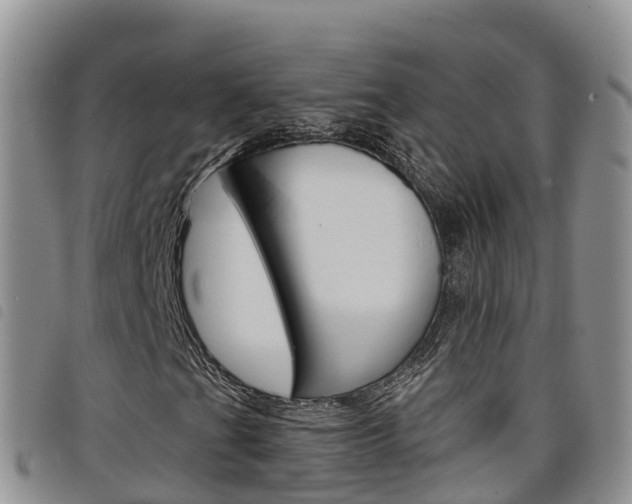 X0000098211201200804241054