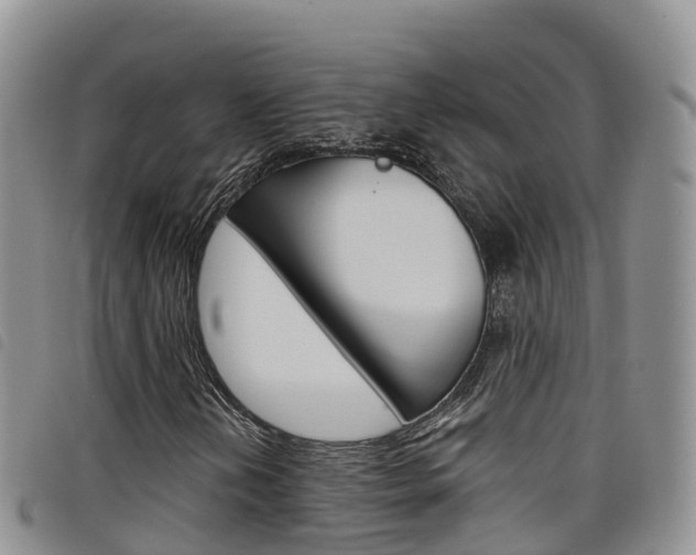 X0000098211202200804241054