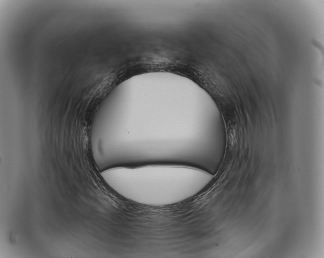 X0000098211204200804241054