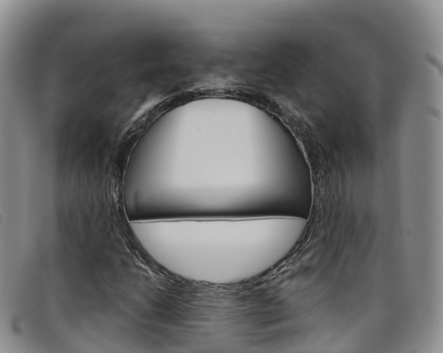 X0000098211206200804241054