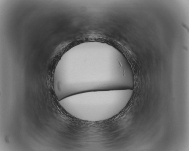 X0000098211207200804241054