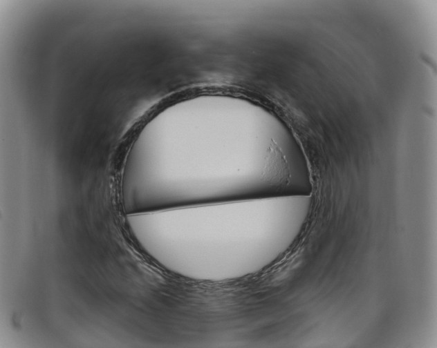 X0000098211208200804241054