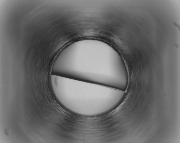 X0000098211209200804241054