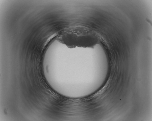 X0000098211210200804241054