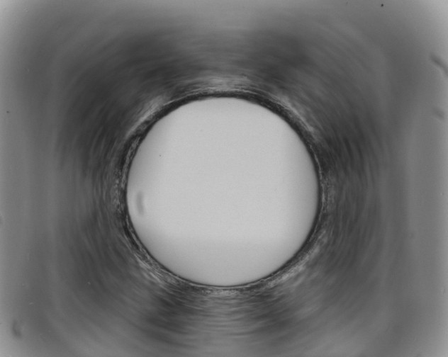 X0000098211211200804241054