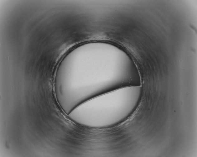 X0000098211212200804241054