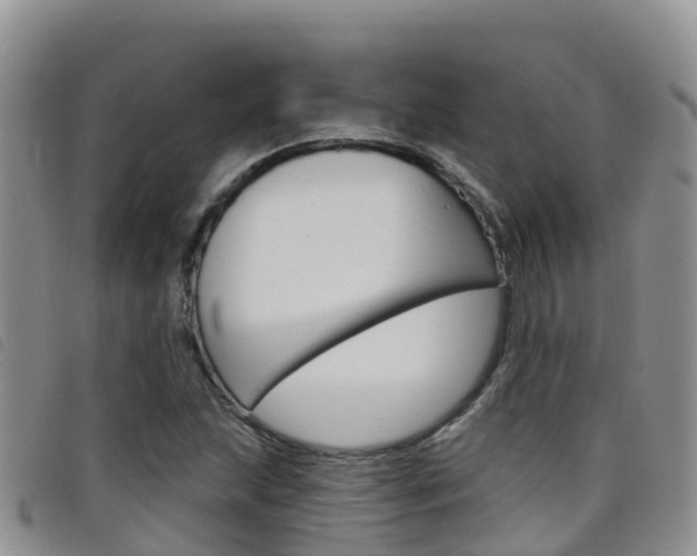 X0000098211215200804241054