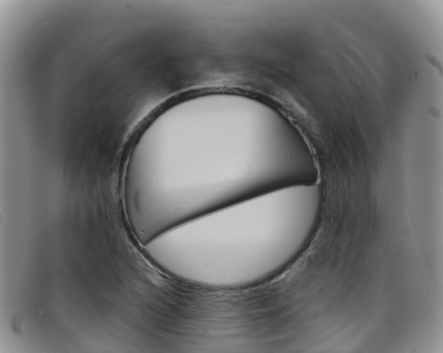 X0000098211216200804241054
