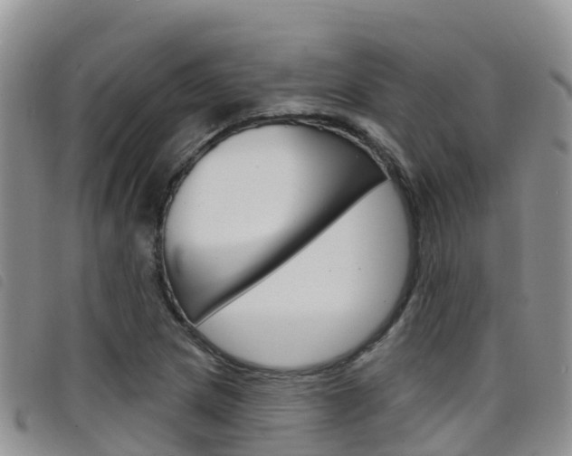 X0000098211217200804241054