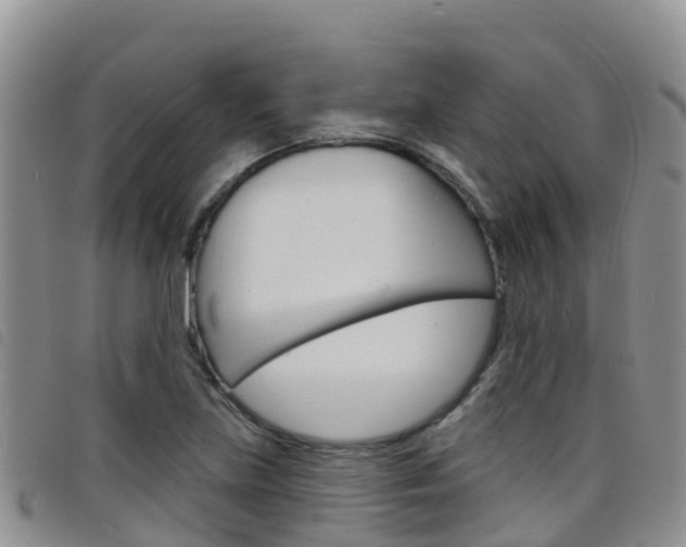 X0000098211219200804241054