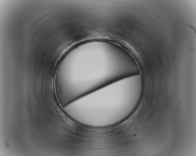 X0000098211220200804241054