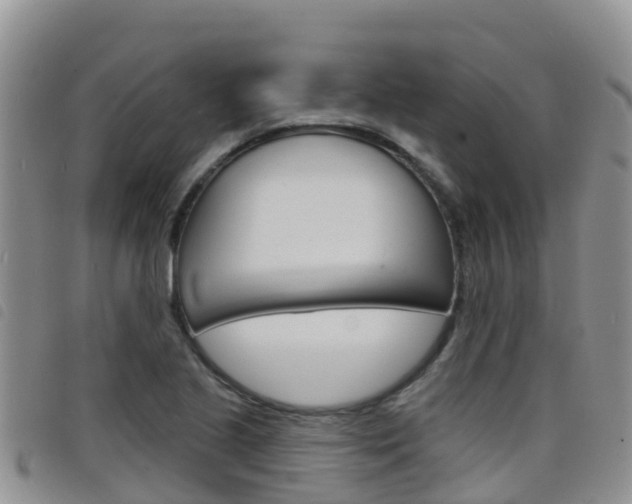 X0000098211221200804241054