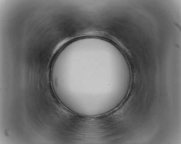 X0000098211222200804241054