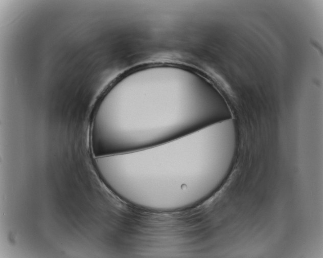 X0000098211224200804241054