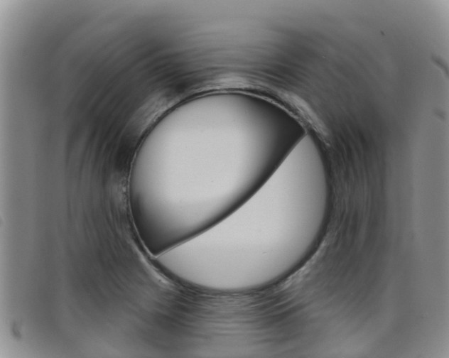 X0000098211225200804241054