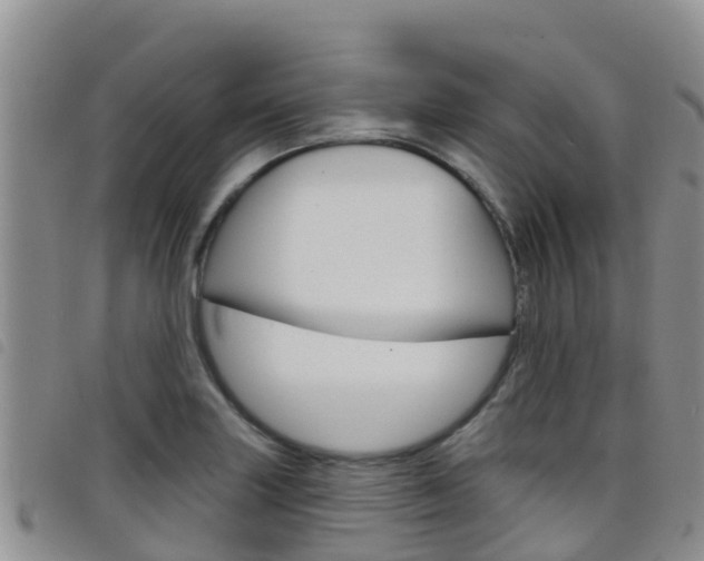 X0000098211227200804241054