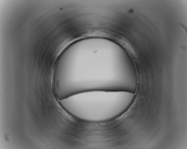 X0000098211228200804241054