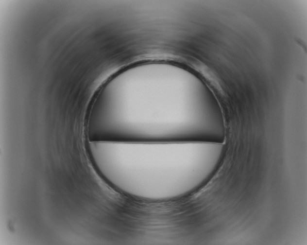X0000098211229200804241054