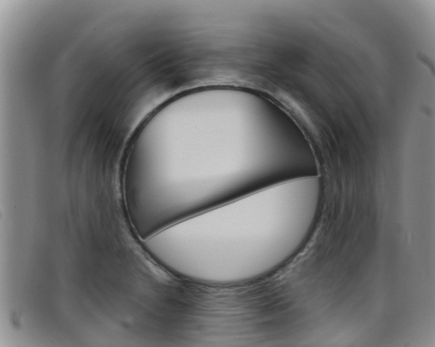 X0000098211230200804241054