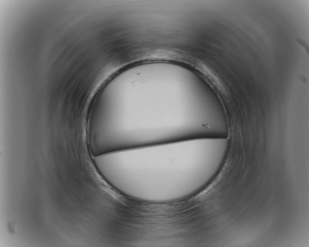 X0000098211232200804241054