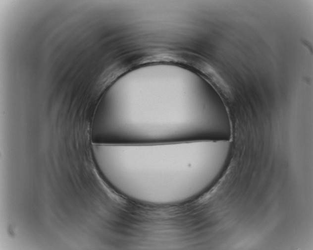 X0000098211233200804241054