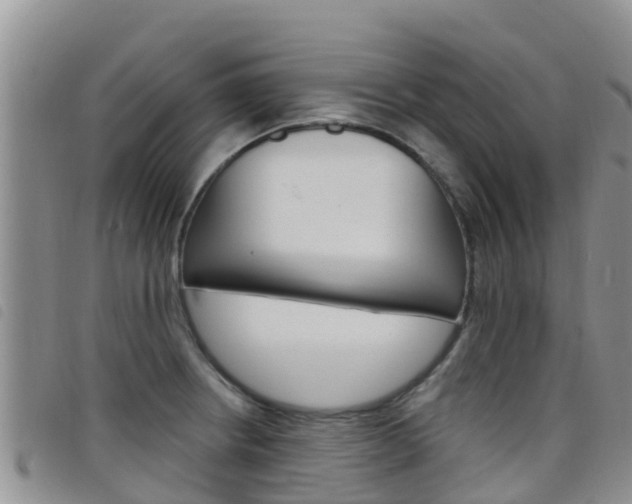 X0000098211234200804241054