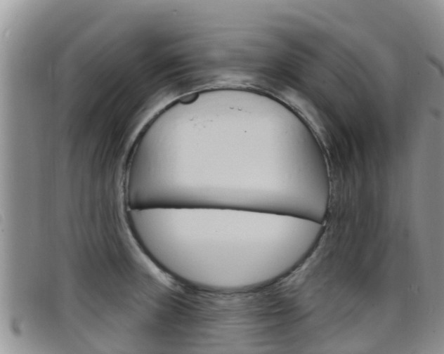 X0000098211235200804241054