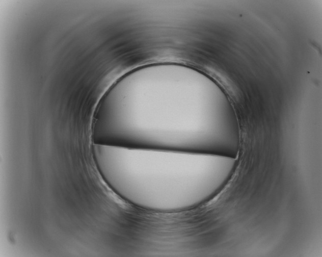 X0000098211236200804241054