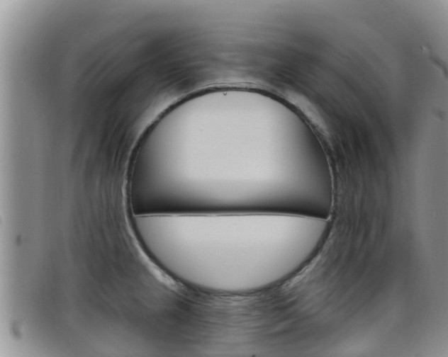 X0000098211237200804241054