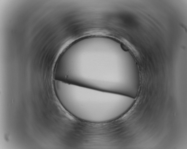 X0000098211240200804241054