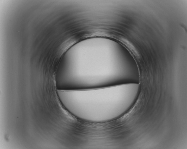 X0000098211241200804241054