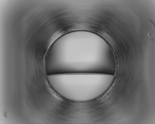 X0000098211242200804241054