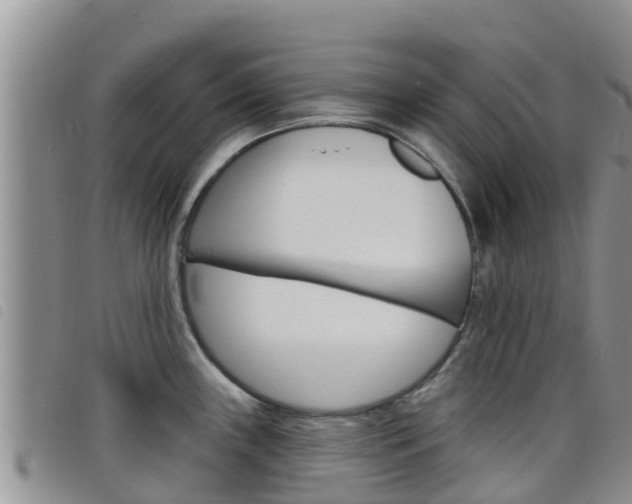 X0000098211243200804241054