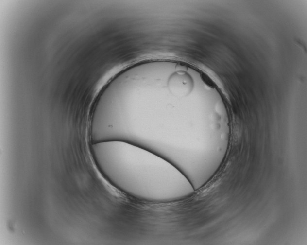 X0000098211245200804241054