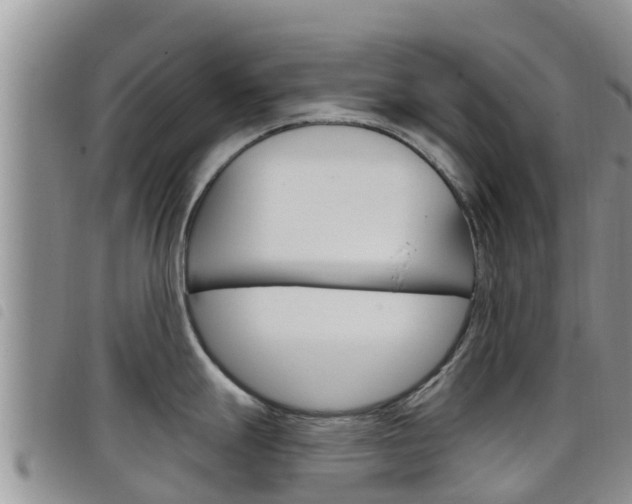 X0000098211247200804241054