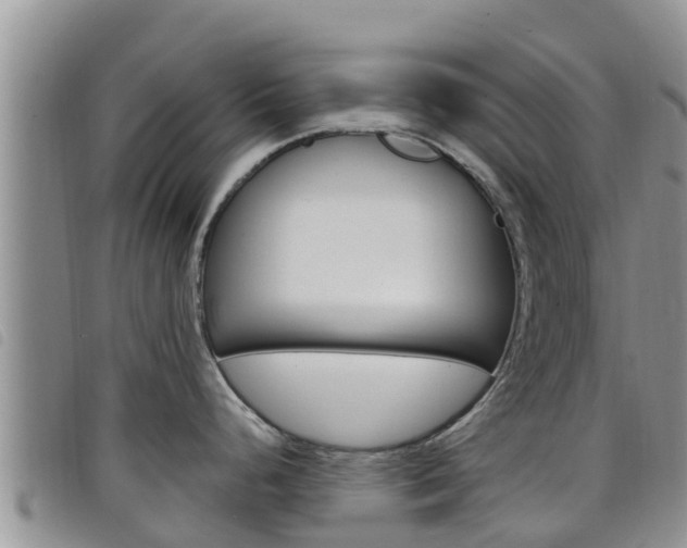 X0000098211248200804241054
