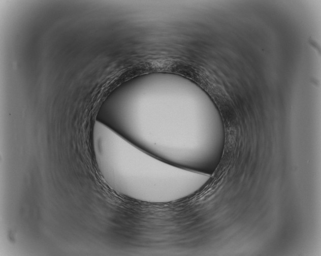 X0000098211249200804241054