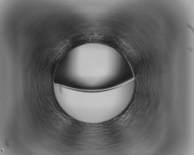 X0000098211252200804241054