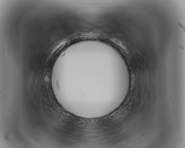 X0000098211254200804241054
