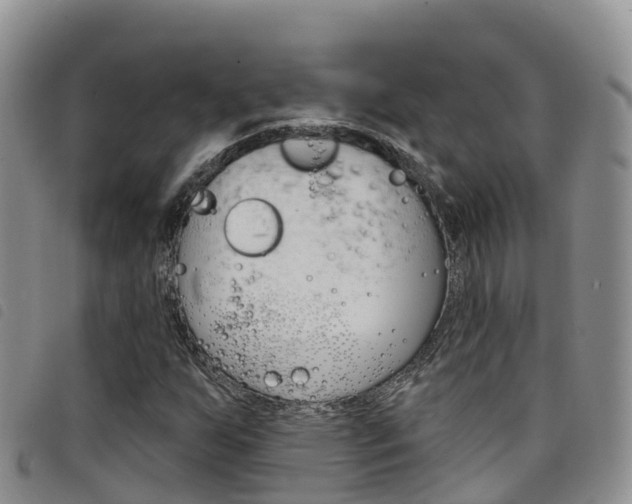X0000098211255200804241054