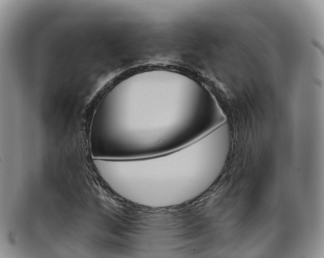 X0000098211256200804241053