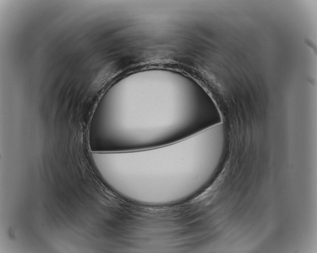 X0000098211257200804241053